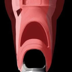 FORMA ICE PRO BOOTS